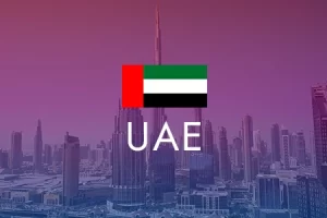 UAE Flag Icon