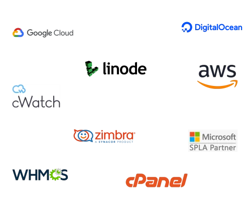 web-hosting-company-in-india